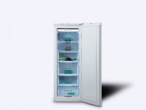 zamrzivac Beko FSA 21300