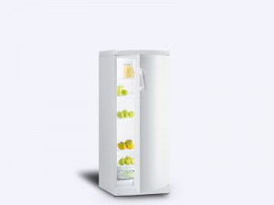 Fritider Gorenje-R-6295W